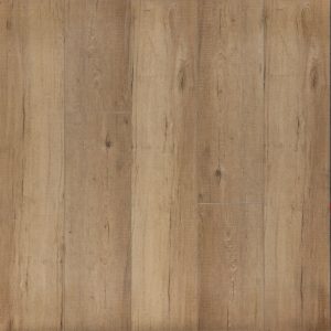 Timeless Designs Chic Beige